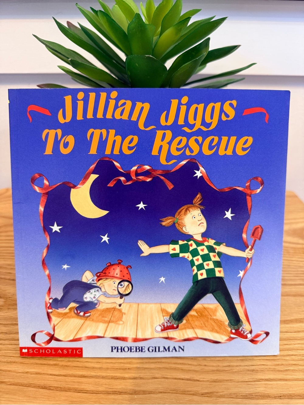 💫10/$25 • Jillian Jiggs To The Rescue Paperback